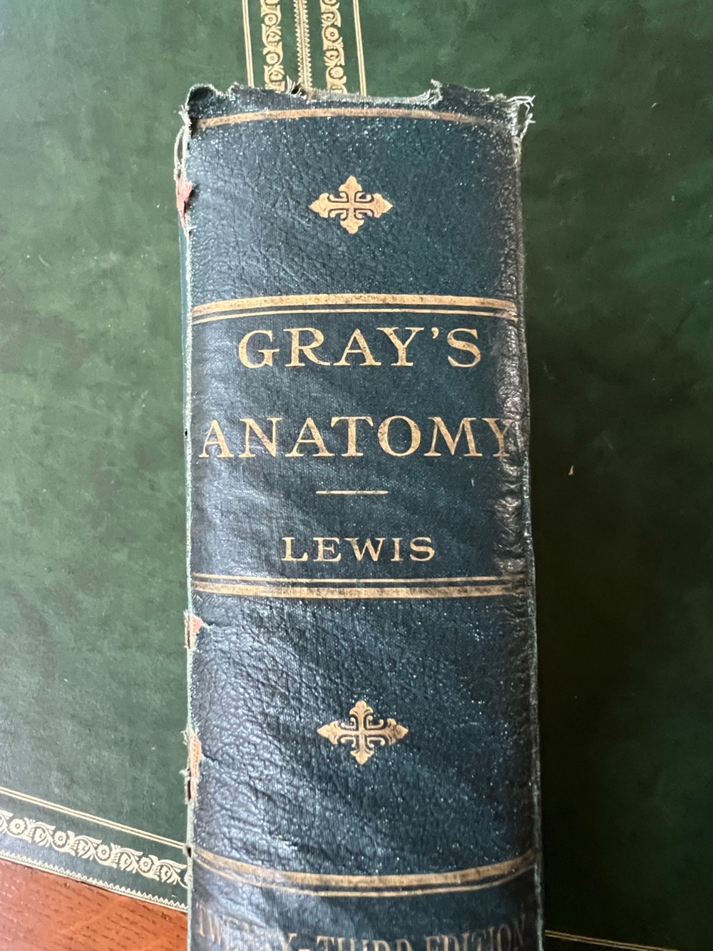 Antique Vintage 1936 23rd Edition Gray’s Anatomy of the Human Body Warren Lewis - Picture 6 of 12